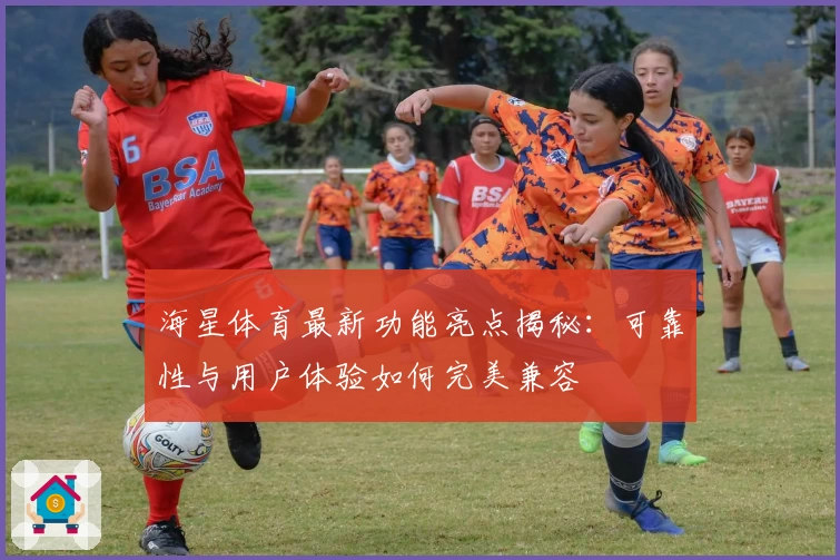 海星体育最新功能亮点揭秘：可靠性与用户体验如何完美兼容