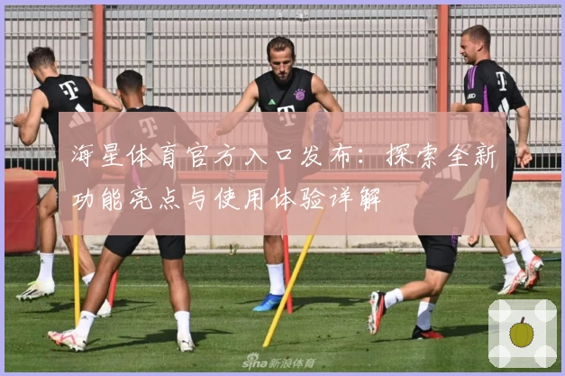 海星体育官方入口发布：探索全新功能亮点与使用体验详解