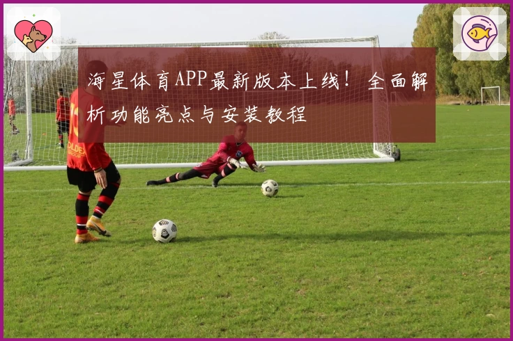 海星体育APP最新版本上线！全面解析功能亮点与安装教程