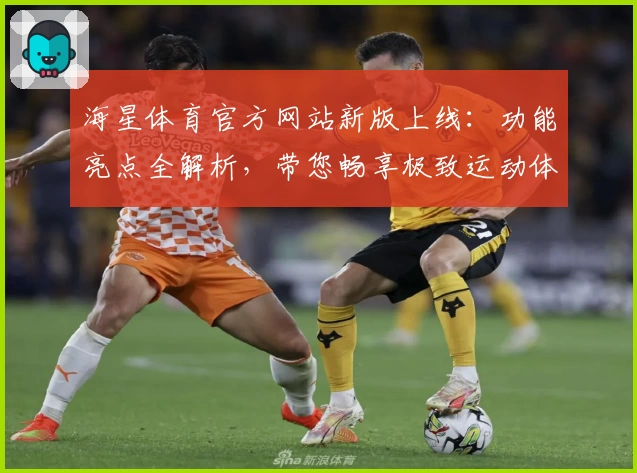 海星体育官方网站新版上线：功能亮点全解析，带您畅享极致运动体验