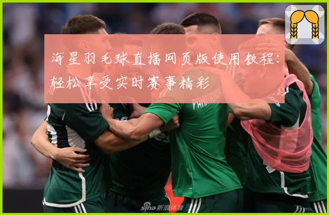 海星羽毛球直播网页版使用教程：轻松享受实时赛事精彩